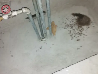 抚松卫生间测漏水价格明细